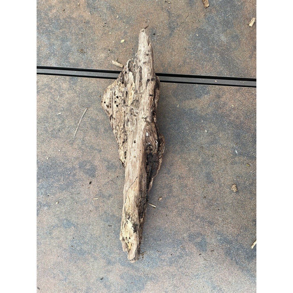 Natural Driftwood for Plants Terrarium Taxidermy Art Projects